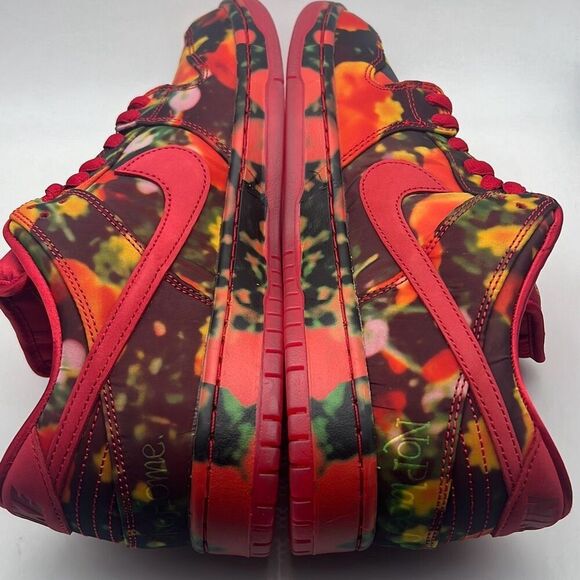 Nike SB x‎ The Wizard of Oz Dunk Low Poppy Field FZ1291 600 Limited Men 10.5 NWB - Picture 5 of 14